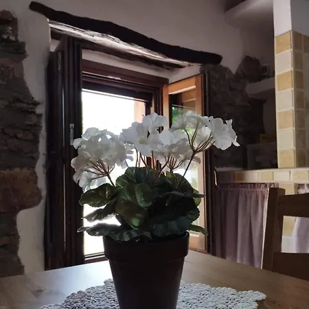 Ecciu Bed and breakfast