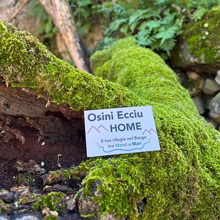 Ecciu Osini
