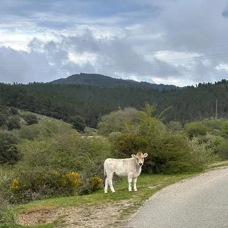 Ecciu Bed and breakfast Osini