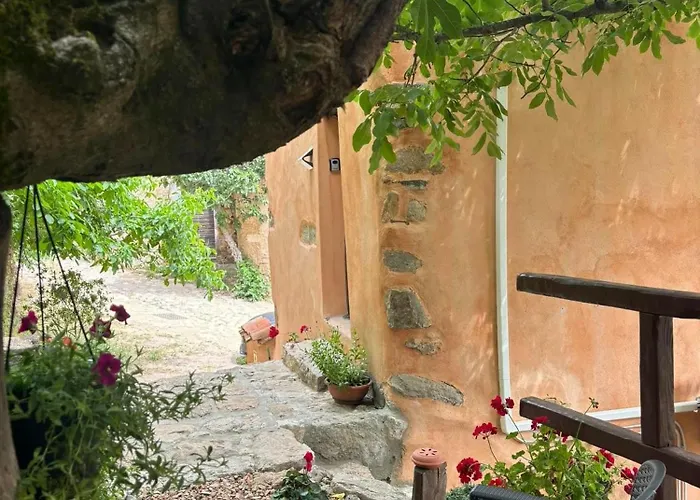 Ecciu Bed & Breakfast Osini