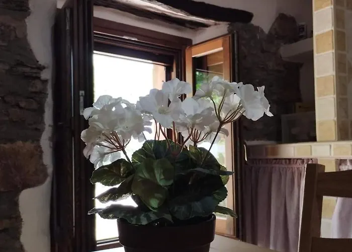 Ecciu Bed & Breakfast