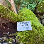 Ecciu Osini