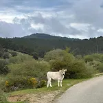 Ecciu Bed & Breakfast Osini