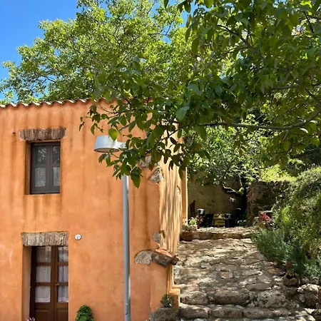 Ecciu