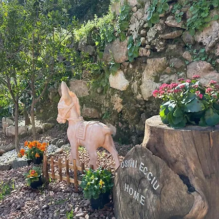 Ecciu Bed & Breakfast *