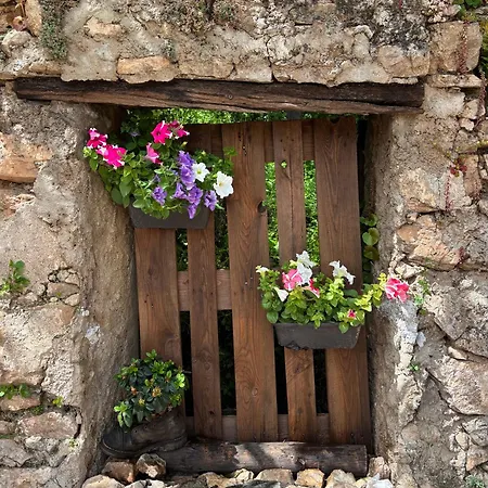 Ecciu Bed and Breakfast Osini