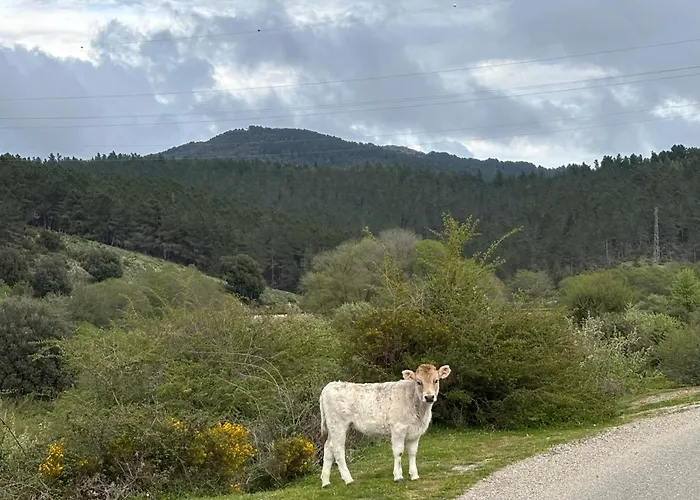 Ecciu Отель типа 